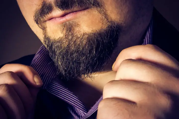 professional beard trimmer for goatees